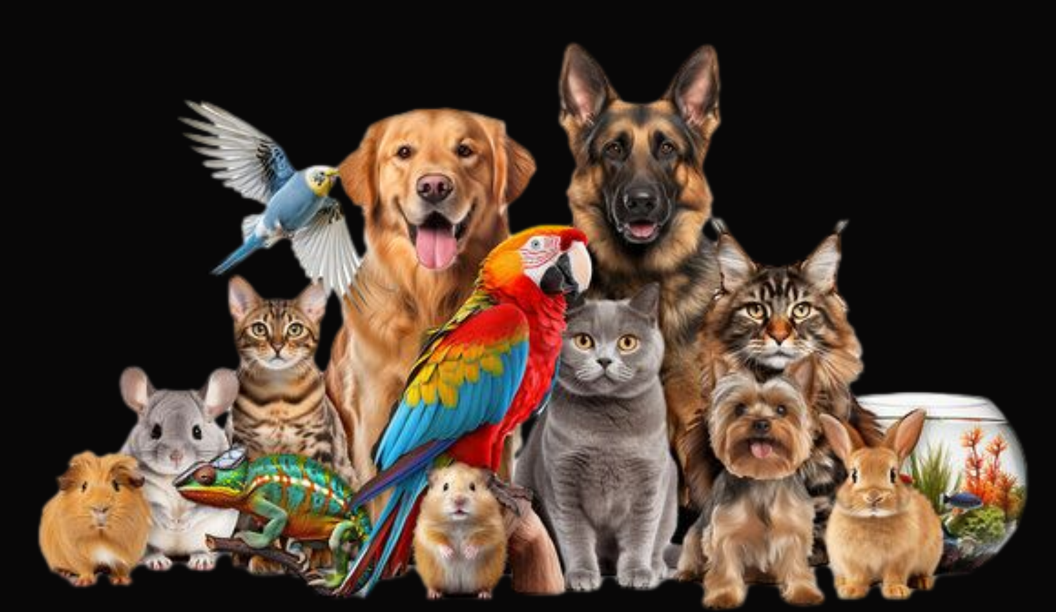Animal Lovers